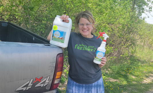 Fly Season 101: Holistic Strategies to Protect Your Herd Naturally