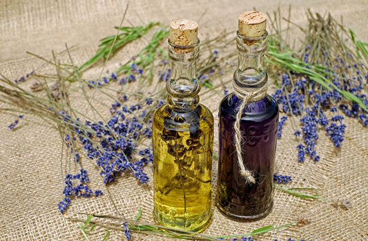 Lavender Essential Oils