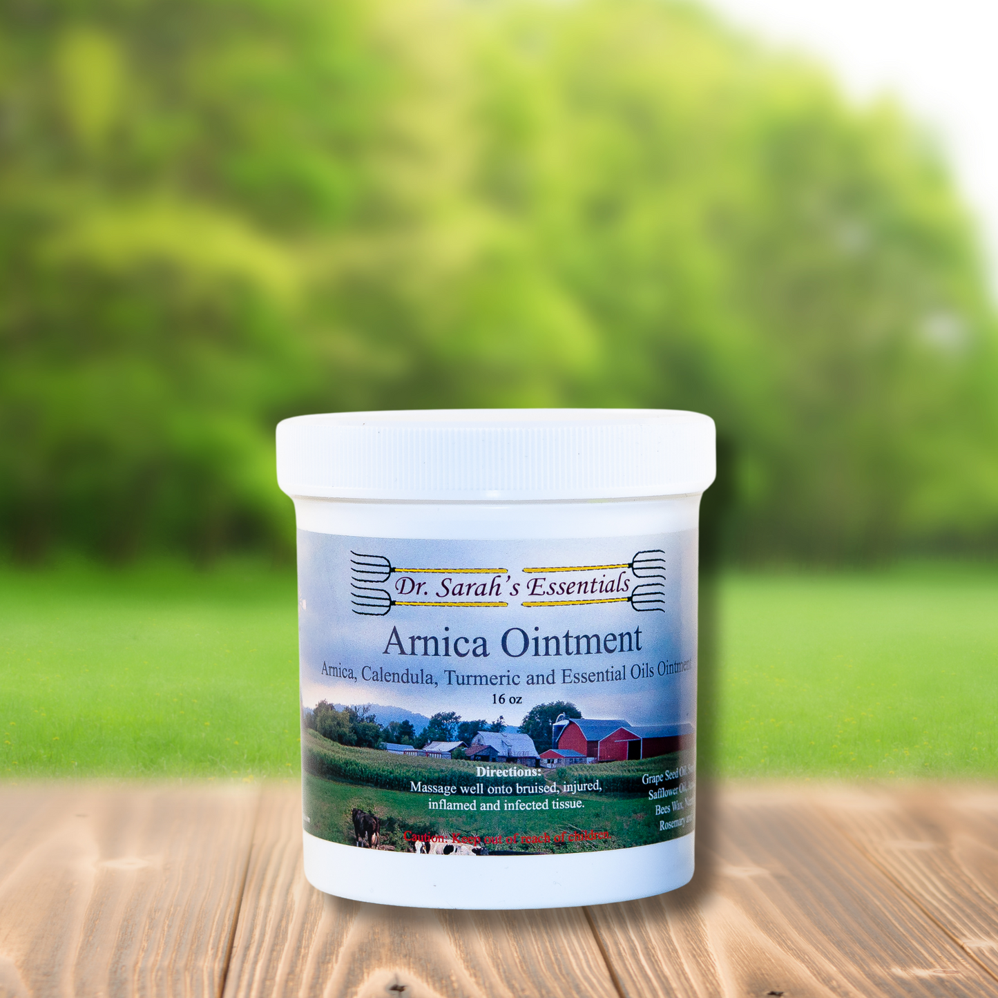 Dr. Sarah's Essentials Arnica Ointment