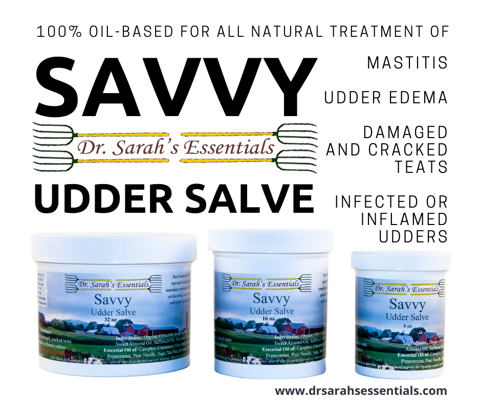 Savvy Udder Salve