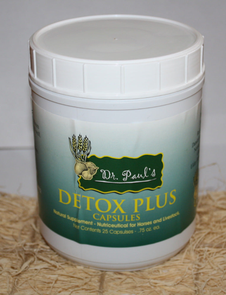 Detox Plus Bolus