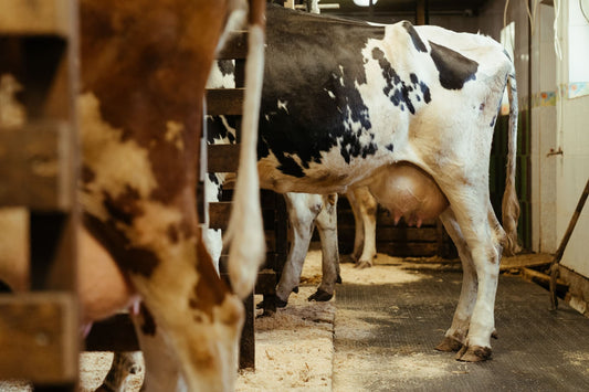 Iodine Does the Job. But at What Cost?