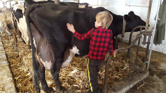 Dr. Sarah’s Top Tips for Udder Health in Winter