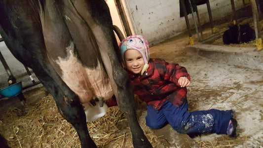 The Challenges of Winter Udder Care