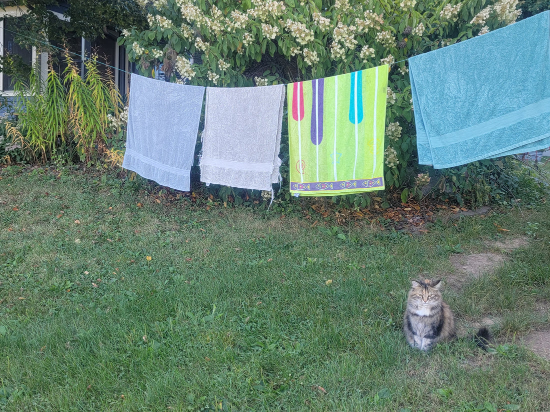 The Simple Joys and Big Benefits of Line-Drying Clothes