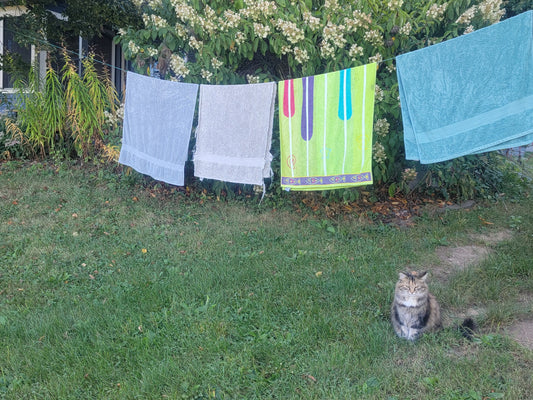 The Simple Joys and Big Benefits of Line-Drying Clothes