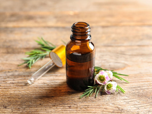 Tea Tree Oil: The Not-So-Sexy Superhero of Natural Wellness