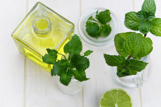 Peppermint Essential Oil: The Stimulating Powerhouse We Often Overlook