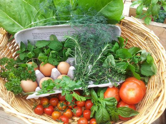 Farm-to-Table: The Joys and Challenges of Growing Your Own Food
