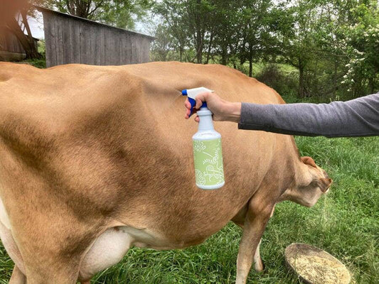What's Actually in Your Fly Spray? A Vet's Breakdown of Common Ingredients