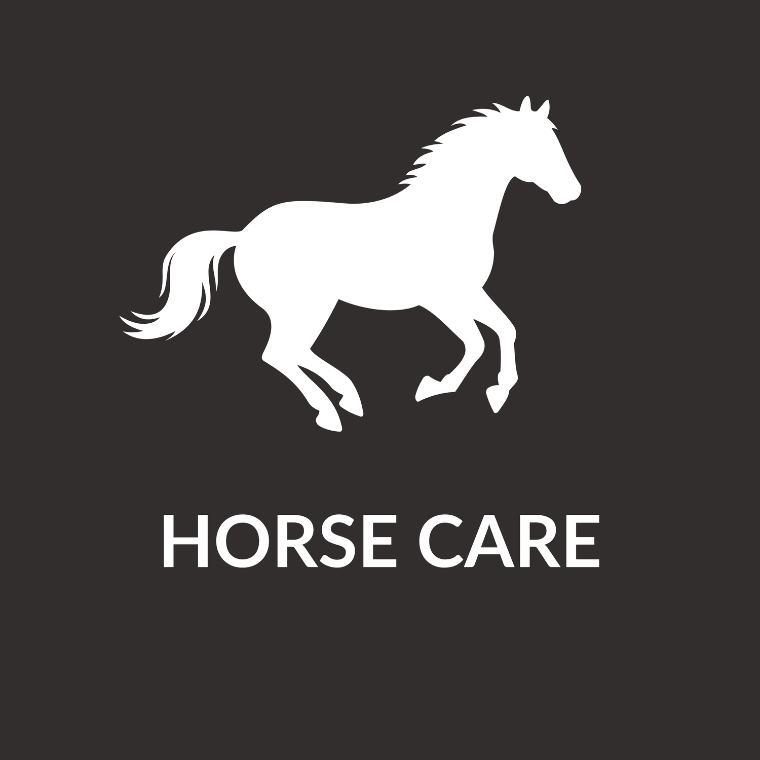 Horse Care