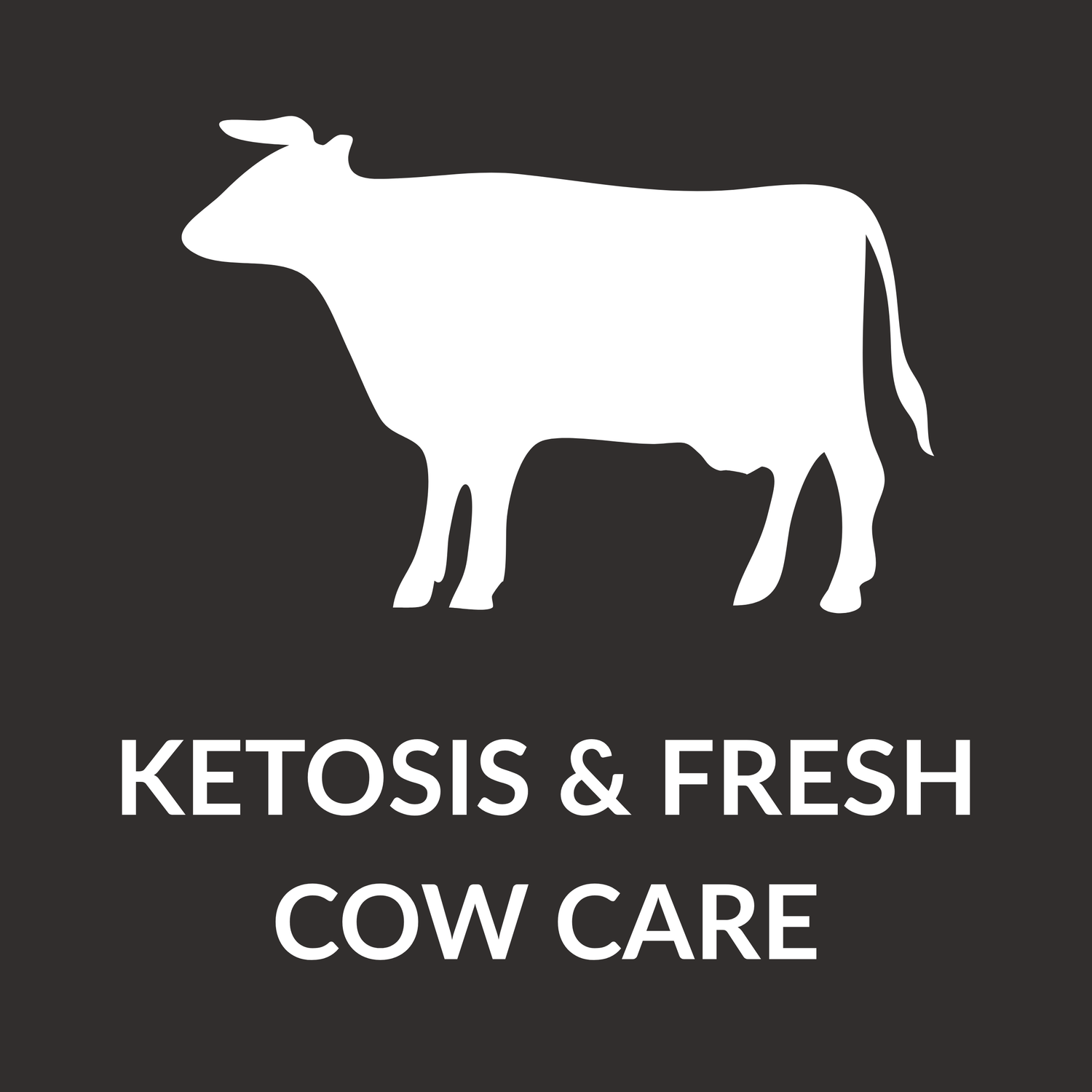 Ketosis/Fresh Cow/Cows Off Feed Care