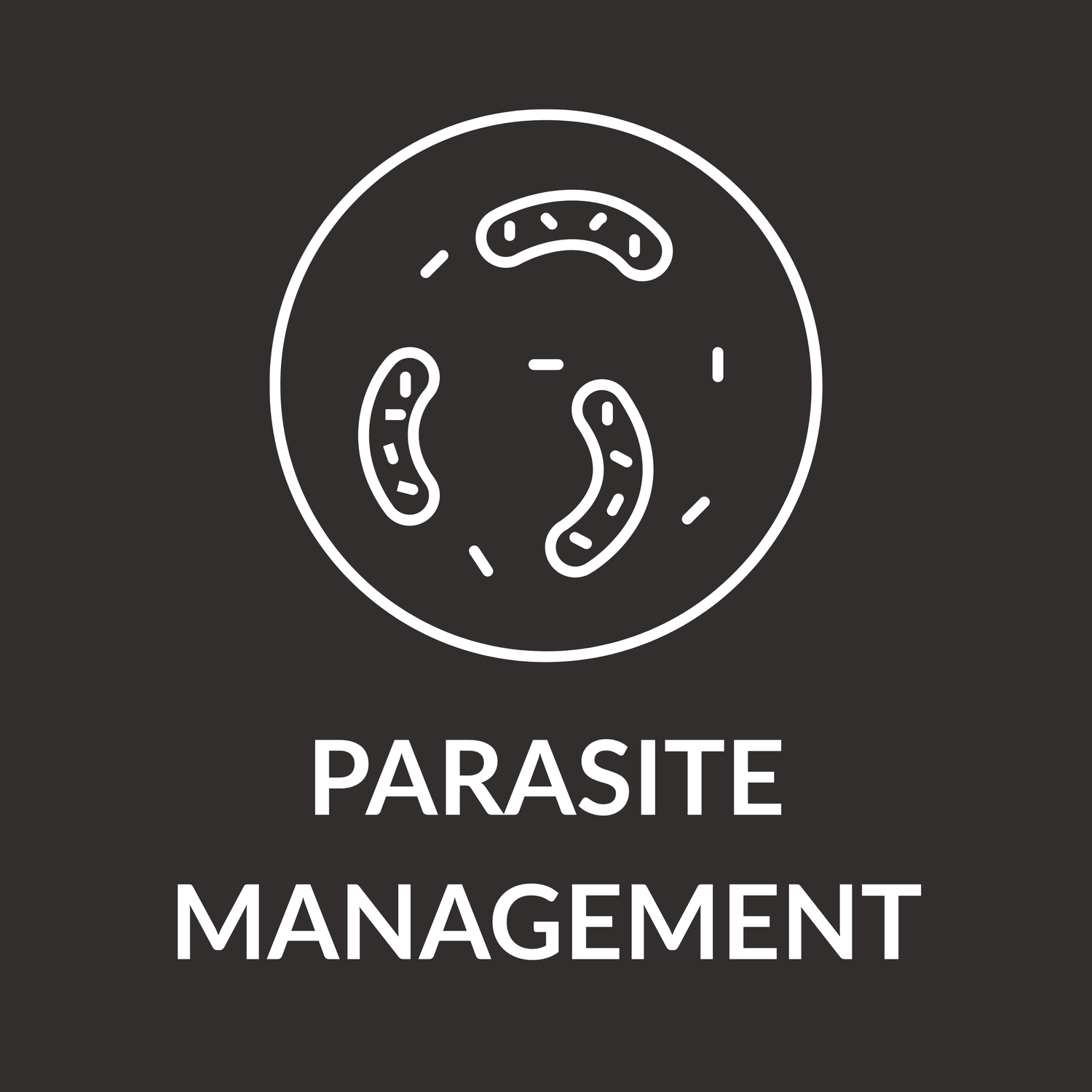 Parasite Management Care for Animals