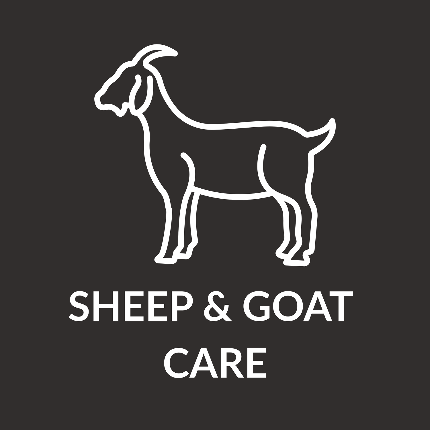 Sheep & Goat Care