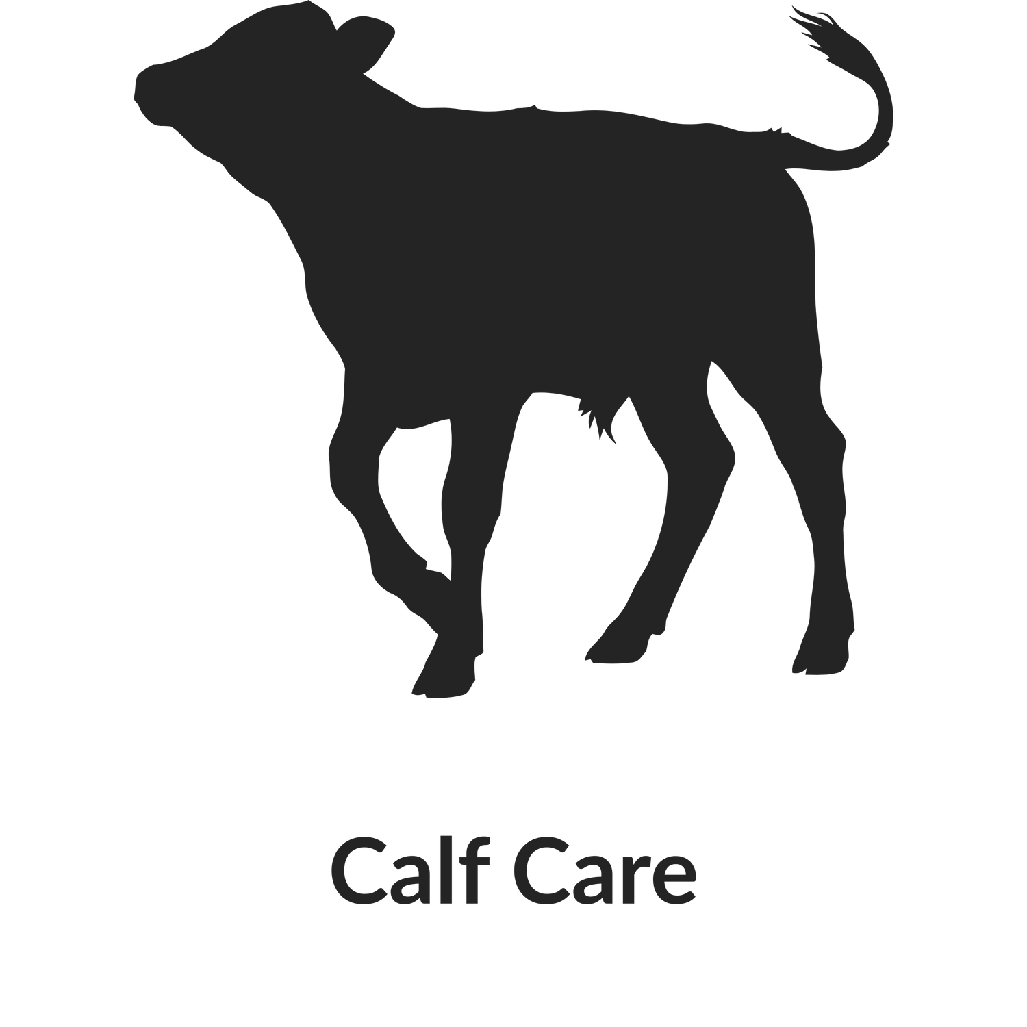 Calf Care
