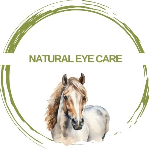 Eye Support