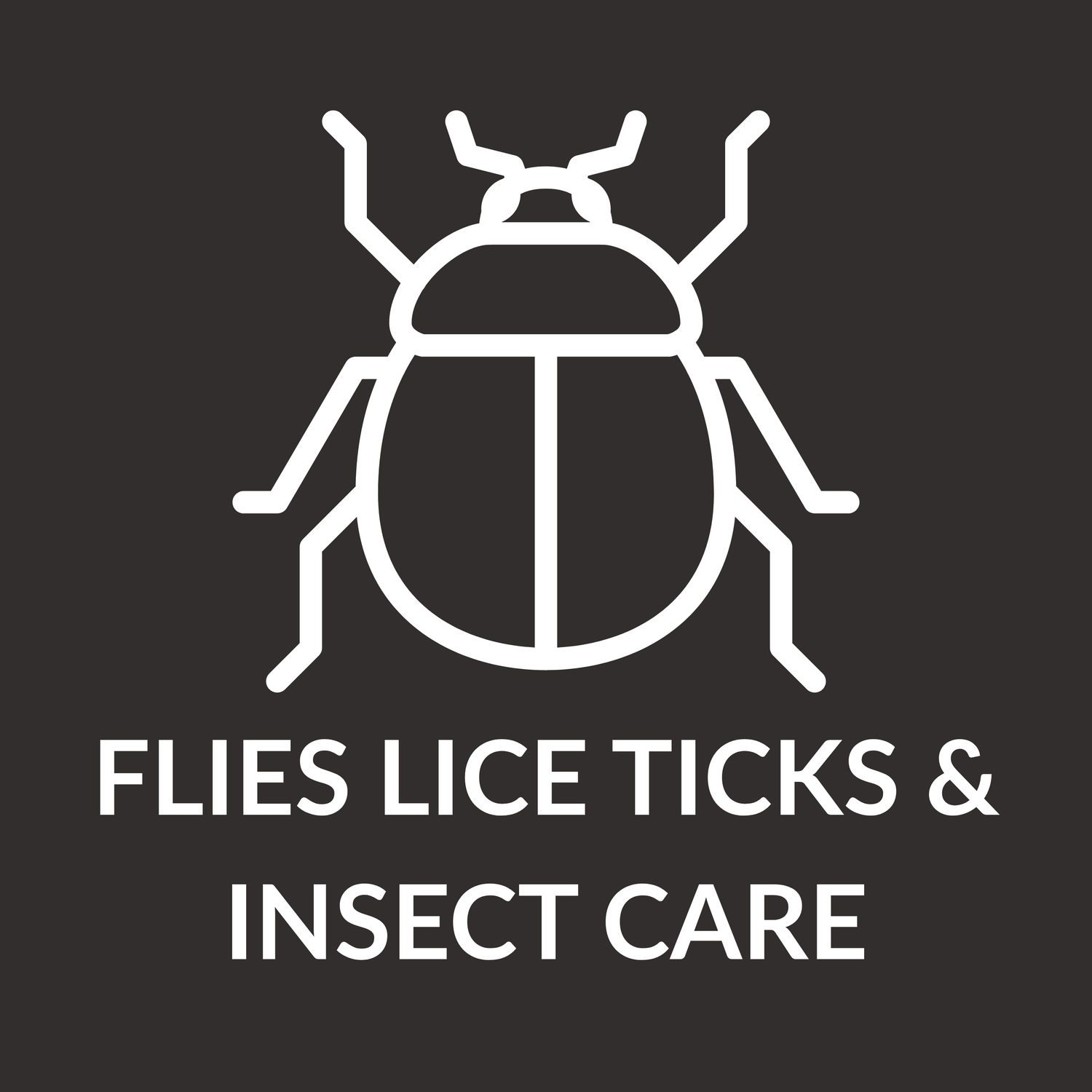 Insect & Itch Relief Products