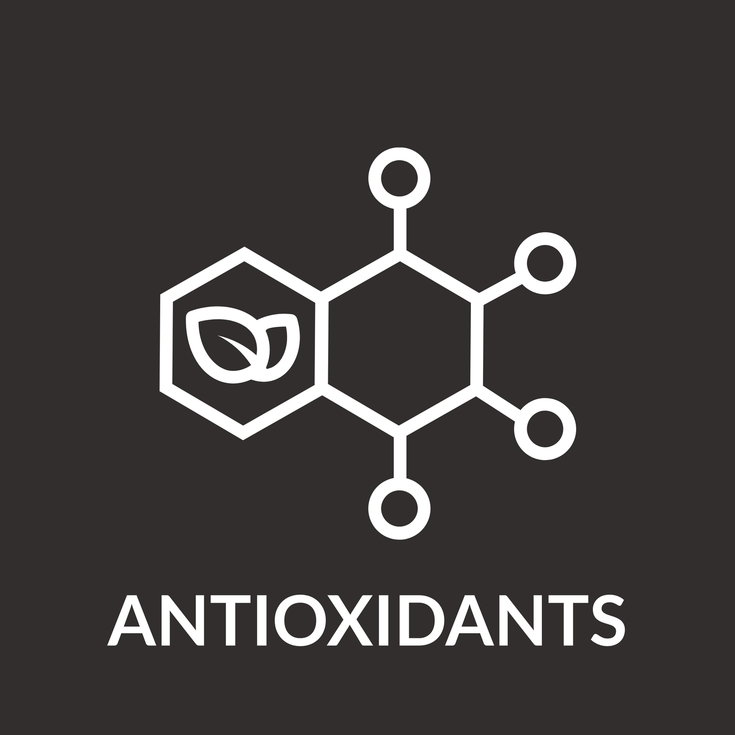 Antioxidants for Animals