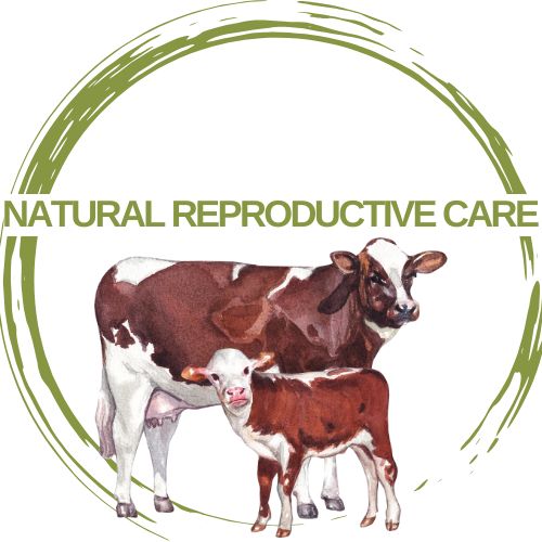 Reproductive Support