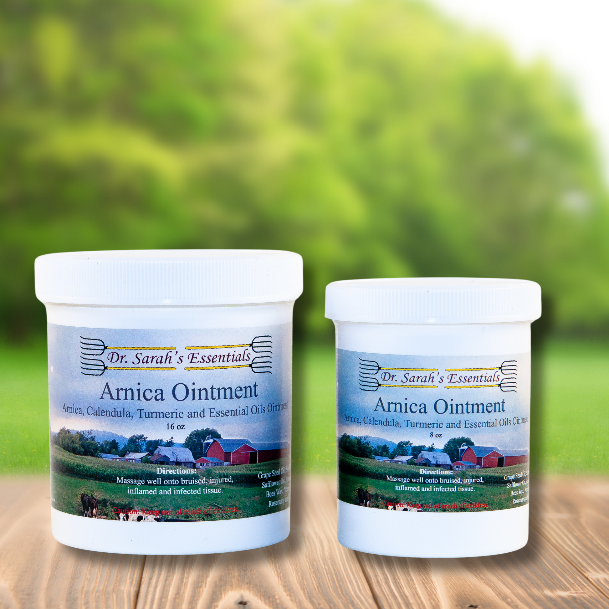 Dr. Sarah's Essentials Arnica Ointment