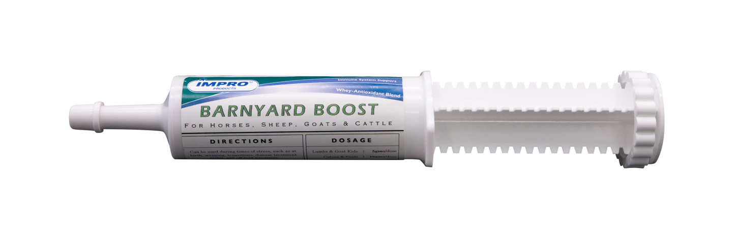 Barnyard Boost Paste | Calf Immune & Digestive Support