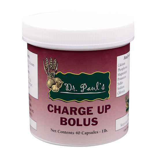 Charge-Up Bolus