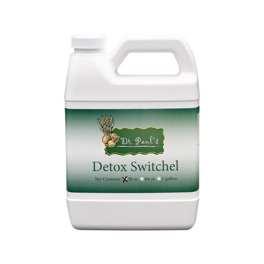 Detox Switchel