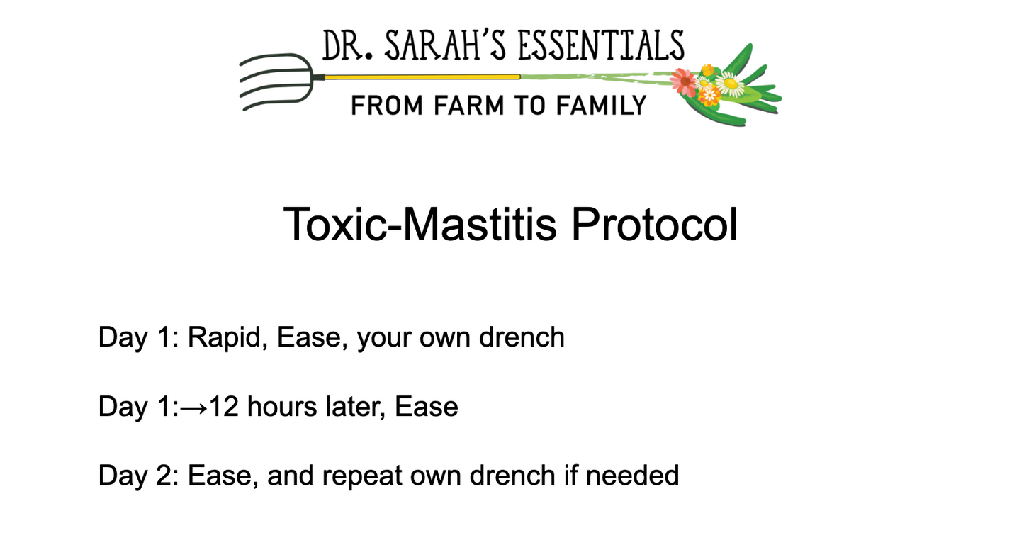 Ease Bolus