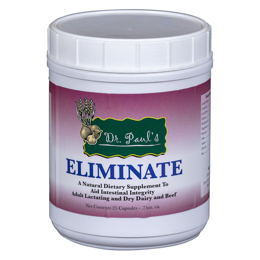 Eliminate Bolus