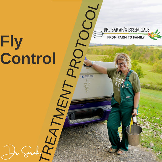 Fly Control Treatment Protocol Video