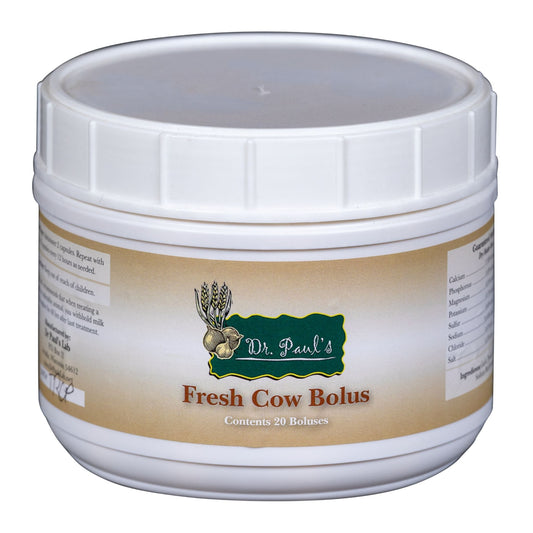 Fresh Cow Bolus