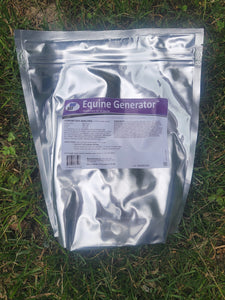 Equine Generator