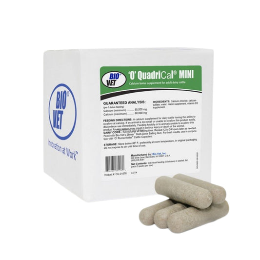 ‘O’ QuadriCal® MINI Calcium Boluses