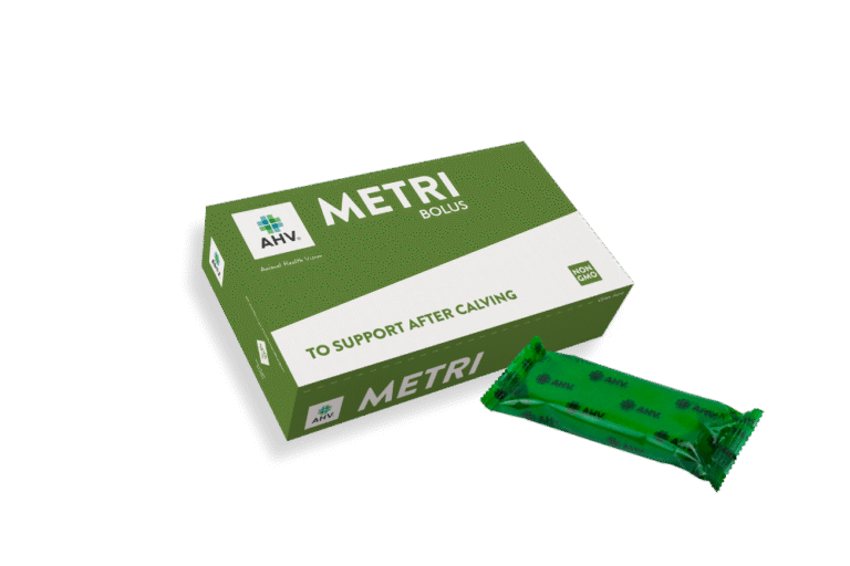 Metri Bolus