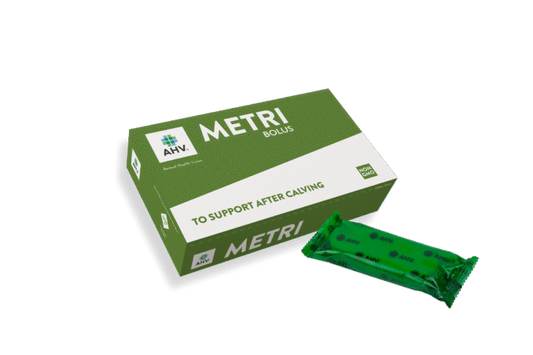 Metri Bolus