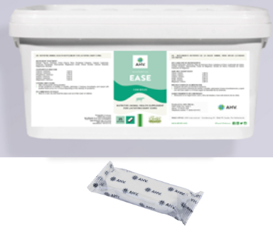 Ease Bolus