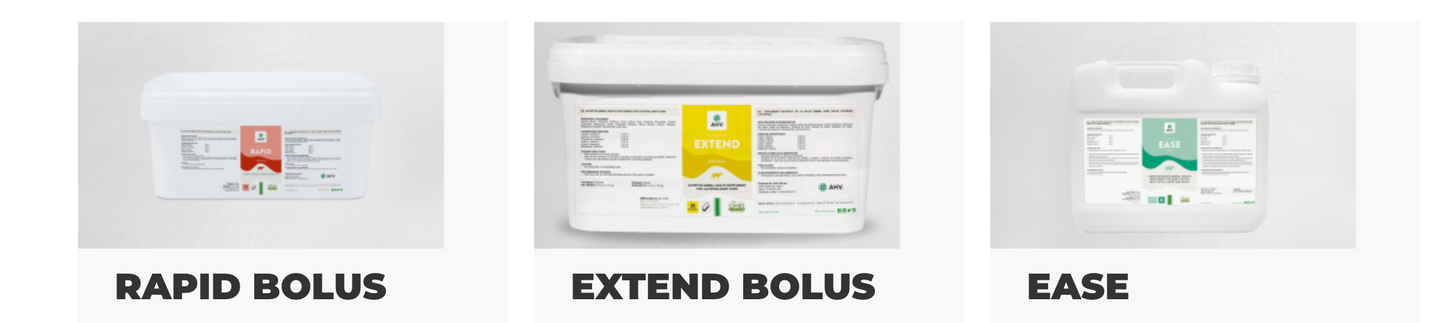 Repli Bolus