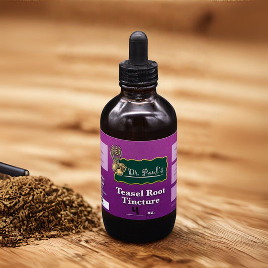 Teasel Root Tincture | Holistic Support for Joints, Detox & Vitality