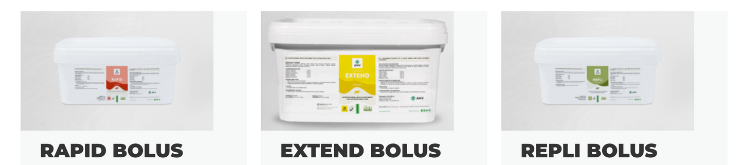 Ease Bolus