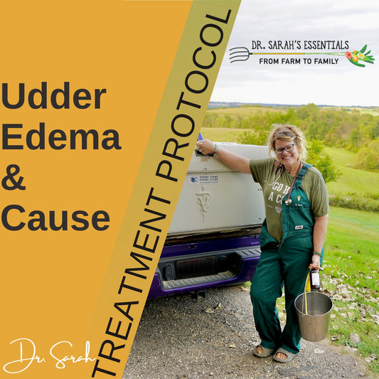 Udder Edema, Cause & Treatment Protocol