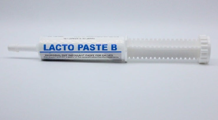 A tube labeled 'LACTO PASTE B' designed for livestock, specifically calves and cattle, with a dosing syringe applicator.