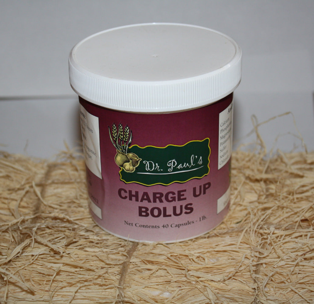 Charge-Up Bolus